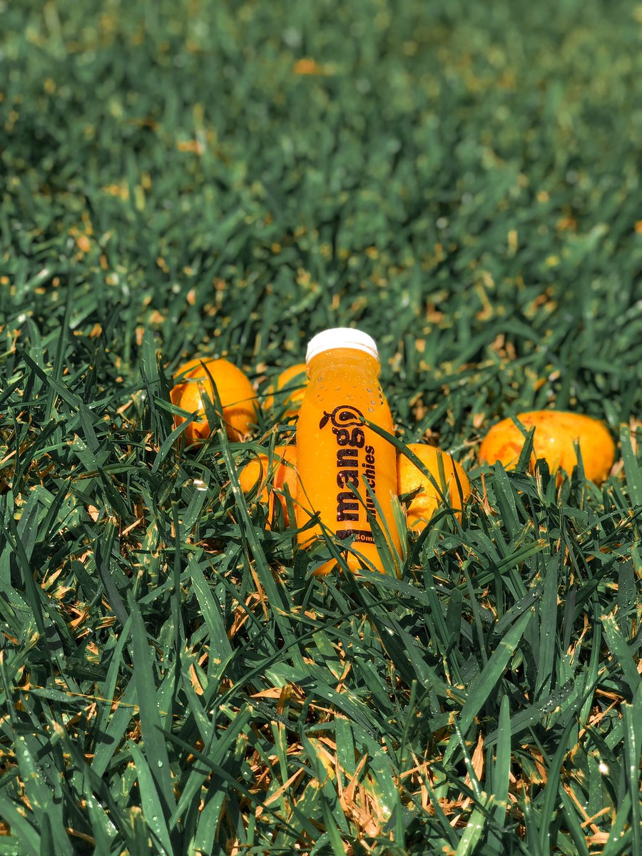 Bottle of Mango Munchies juice resting in grass with fresh mangoes